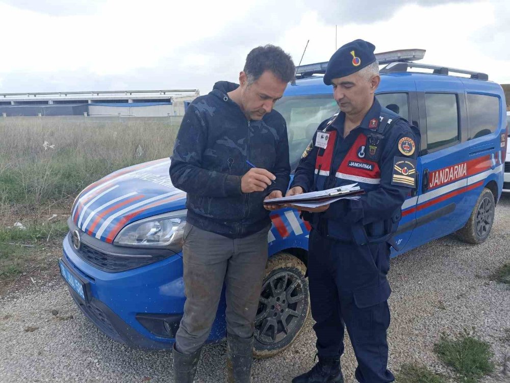 17 büyükbaş hayvan telef oldu