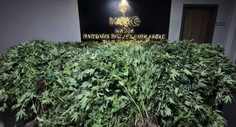 Zehir tacirlerine 600 personelle baskın! 34 şüpheli tutuklandı