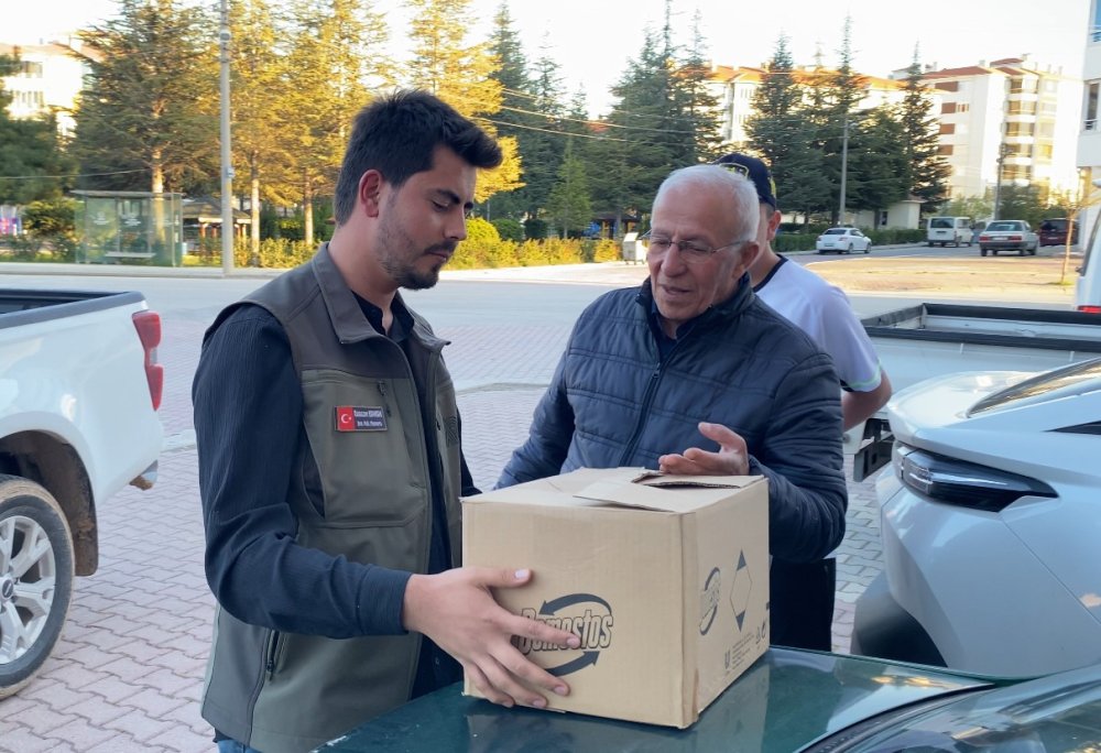 Konya’daki delice doğan koruma altında