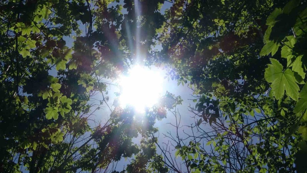 Konyalılar parklara akın ettiler