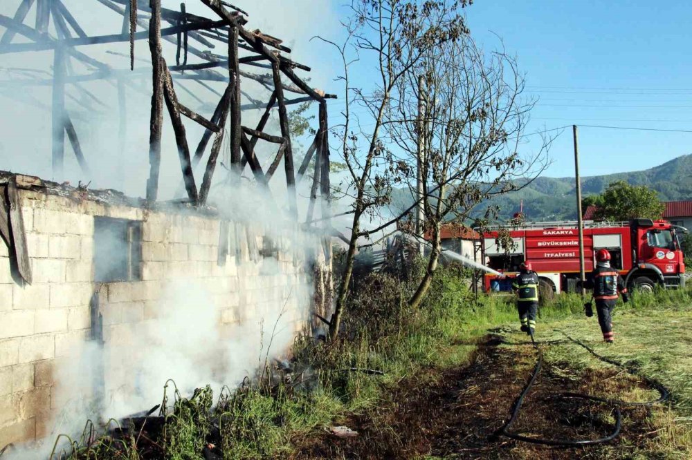 Samanlık küle döndü