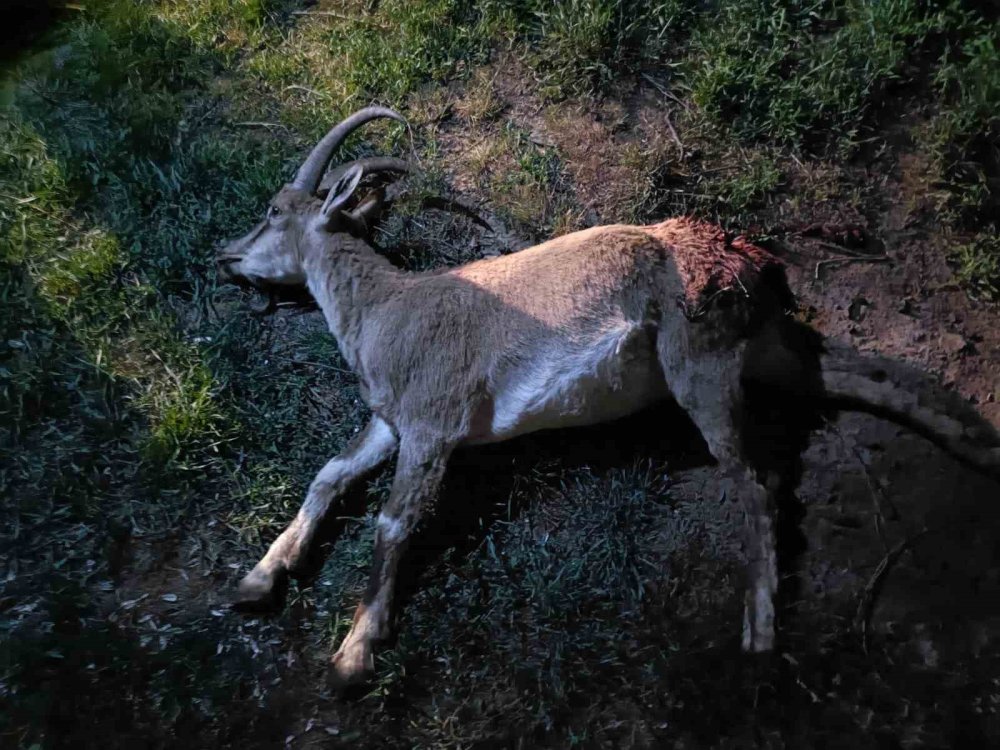 Konya’da avlanma yasağı! 2 kişiye 687 bin 974 lira ceza kesildi