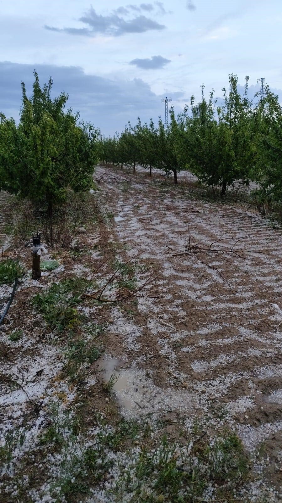Konya'nın kurak bölgesinde metrekareye 20 kilogram yağış düştü