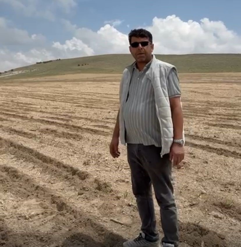 Konya'da gece sürüler halinde geziyorlar... Üreticiler nöbette