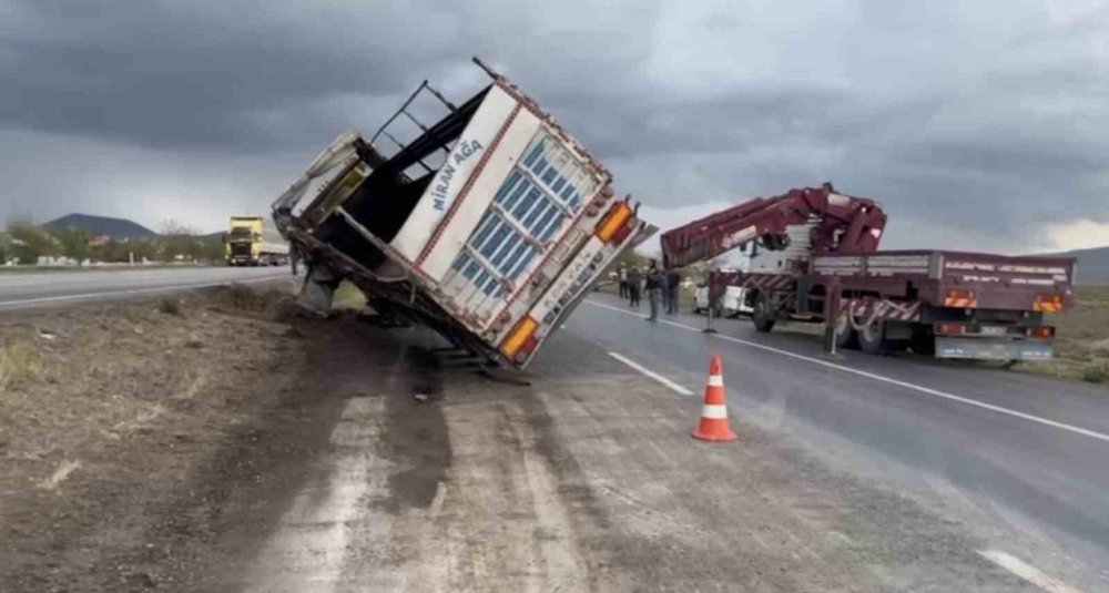 Konya'da tır devrildi, anguslar kayboldu