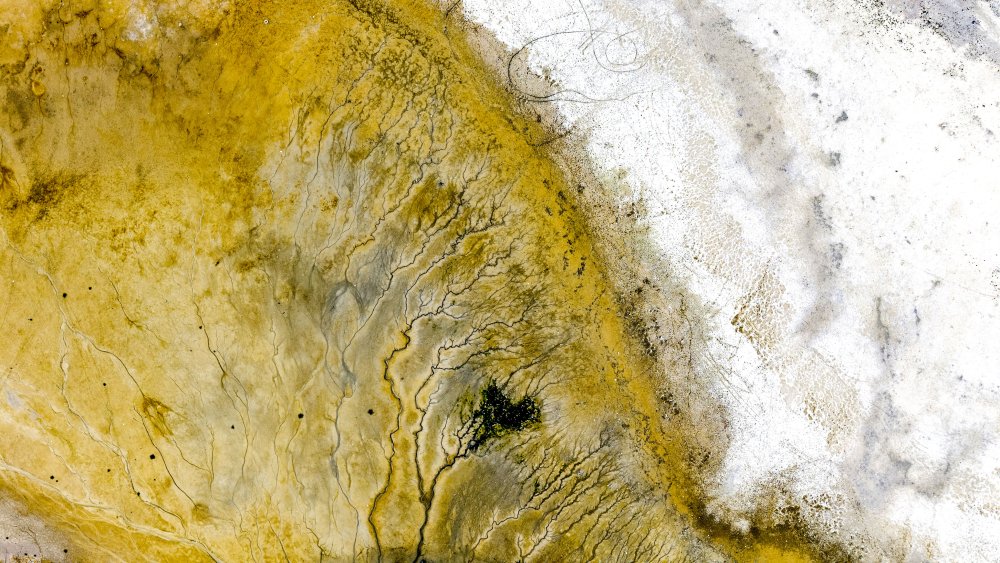 Konya’nın içme suyu tehlikede! Alarm veriyor