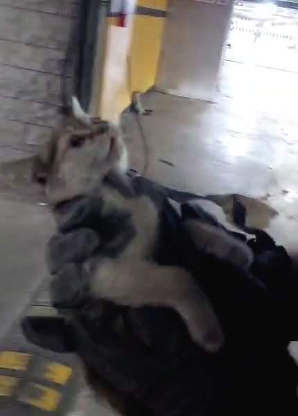 Konya'da 4 saatlik kurtarma operasyonu