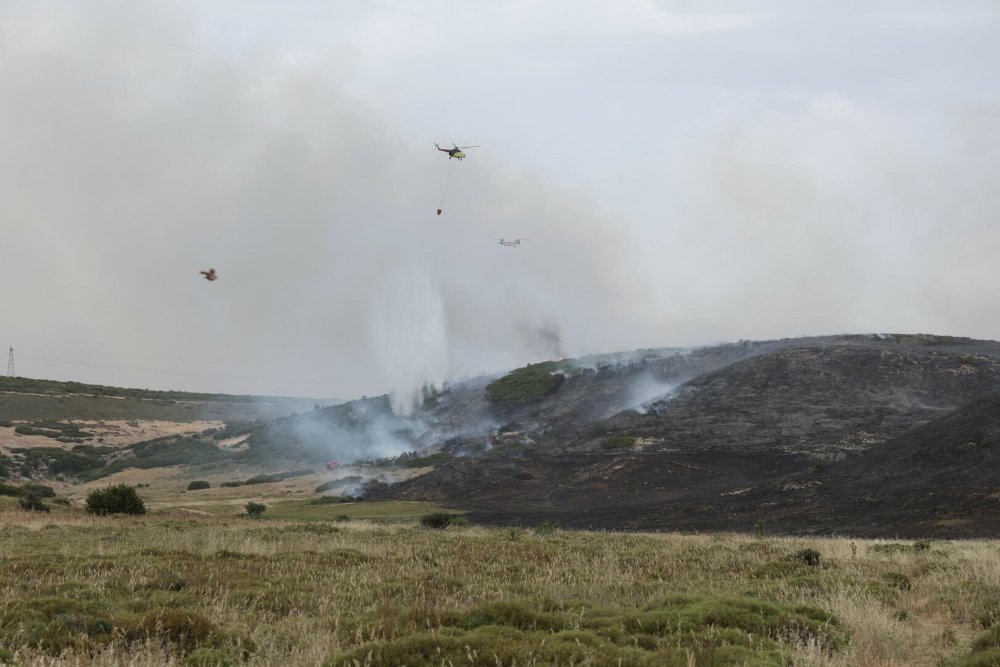 İzmir'in iki ilçesindeki yangın kontrol altına alındı