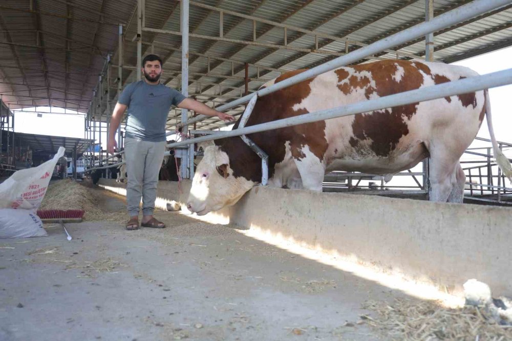 Servet değerindeki fiyatıyla alıcısını bekliyor