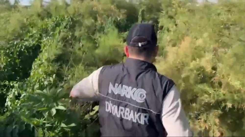 Nehir kenarında tesğit edildi! 100 milyon TL değerinde