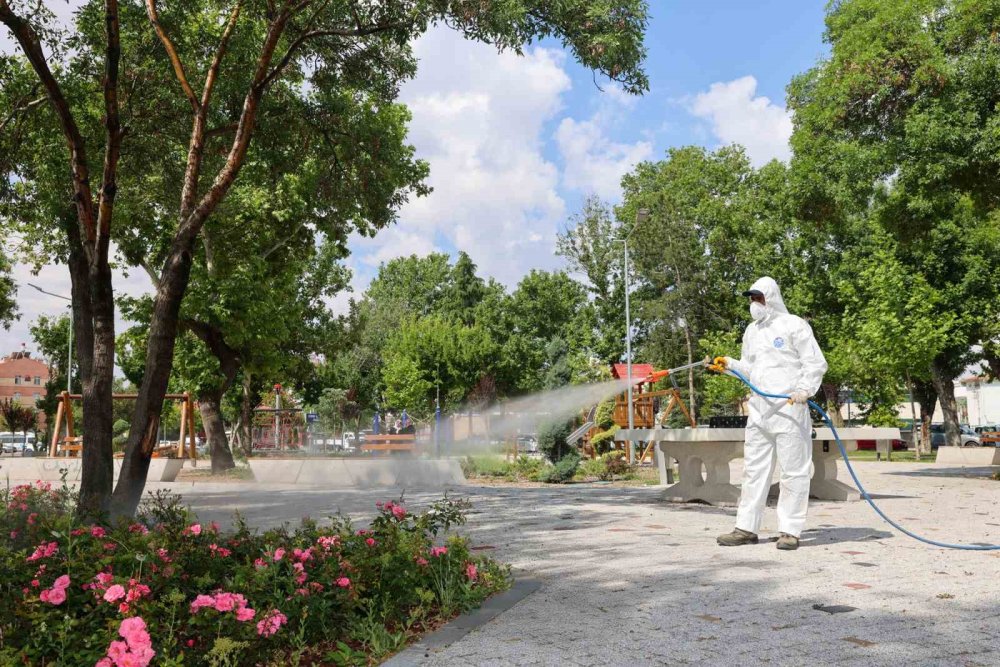 Konya'da haşerelere karşı mücadele