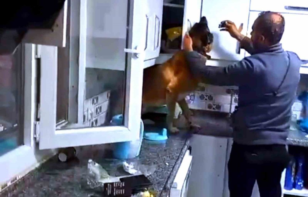 Zehir tacirlerine darbe: 8 kişi tutuklandı