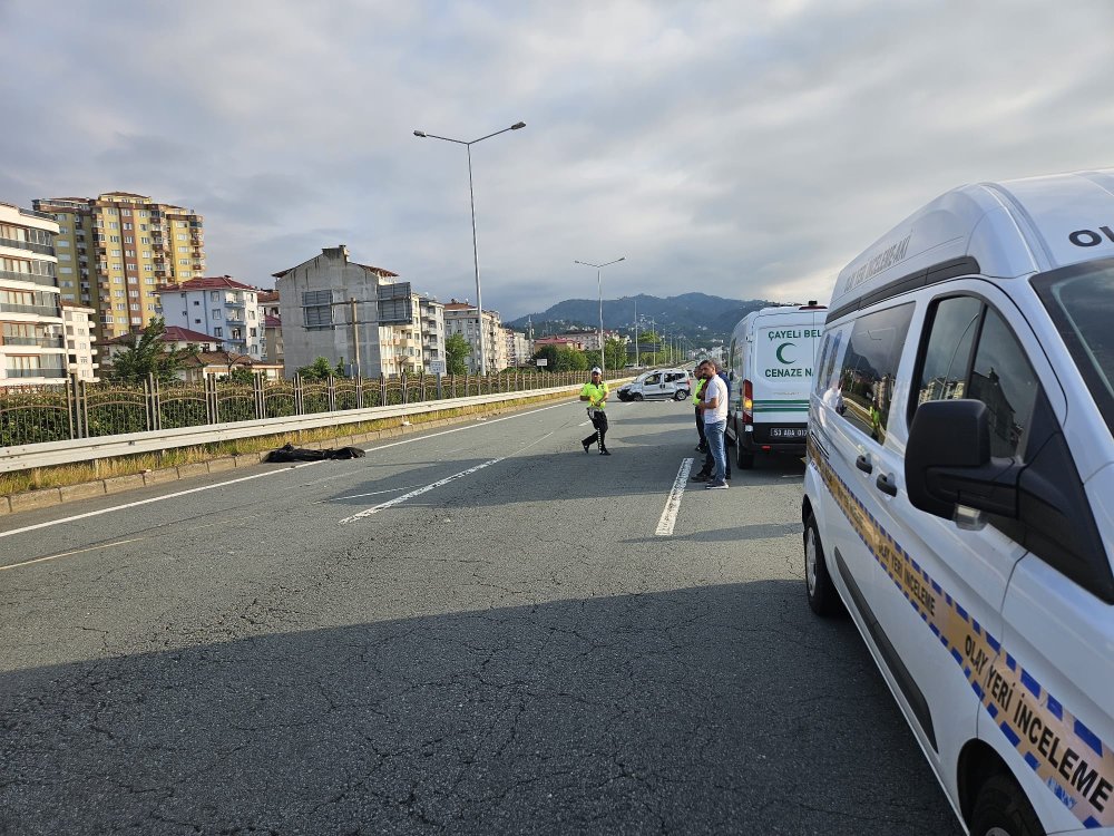 2 kardeşin öldüğü kazada arı detayı