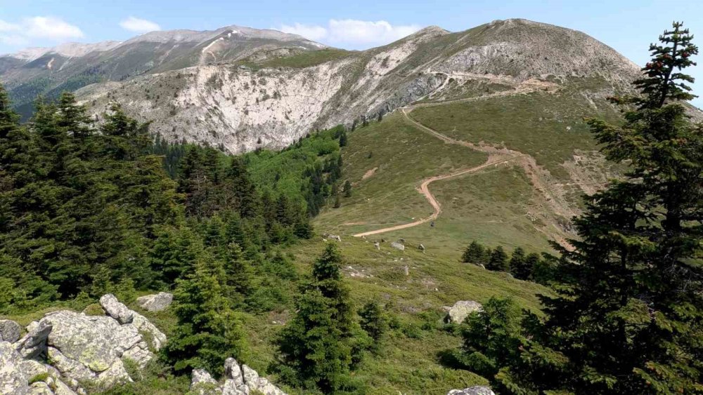 Haziran ortasında karda yürüdüler