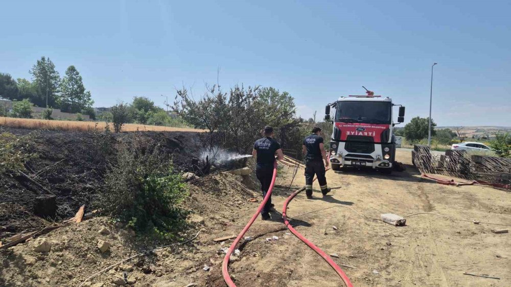 Buğday tarlası alevlere teslim oldu