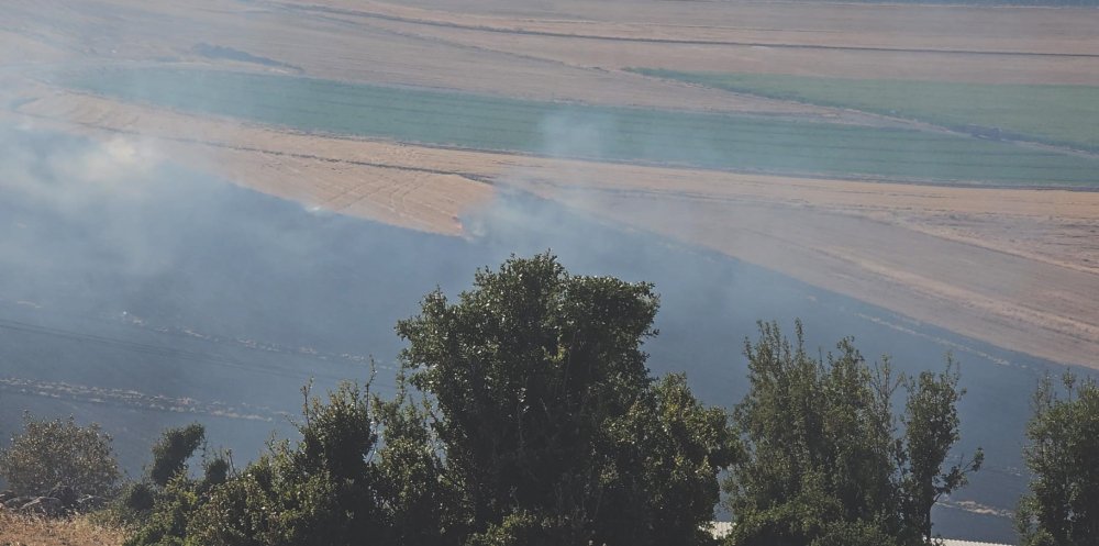 Gaziantep'te maki, Mardin'de örtü yangını