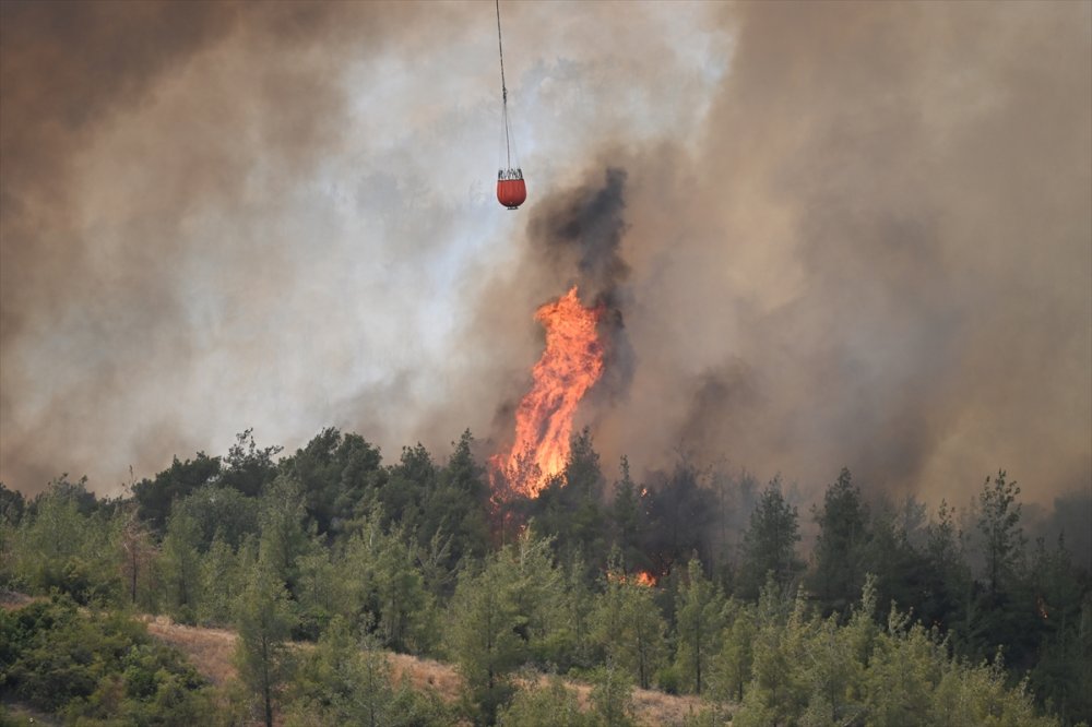 Korkutan orman yangını!