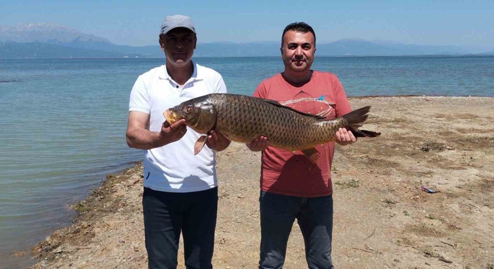 Beyşehir Gölünde ağlara vurdu... Tam 17 kilo!