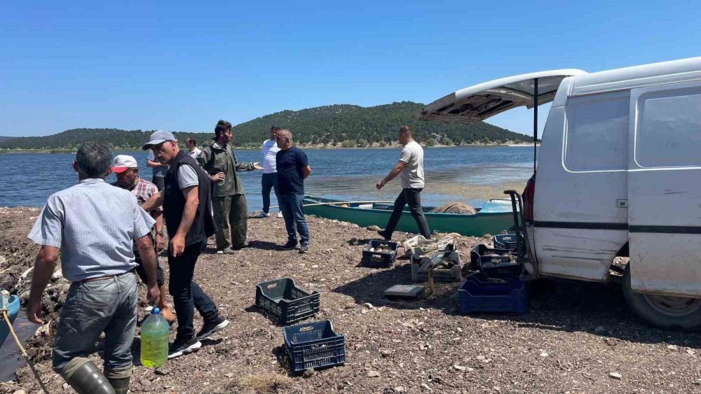 Beyşehir Gölünde ağlara vurdu... Tam 17 kilo!