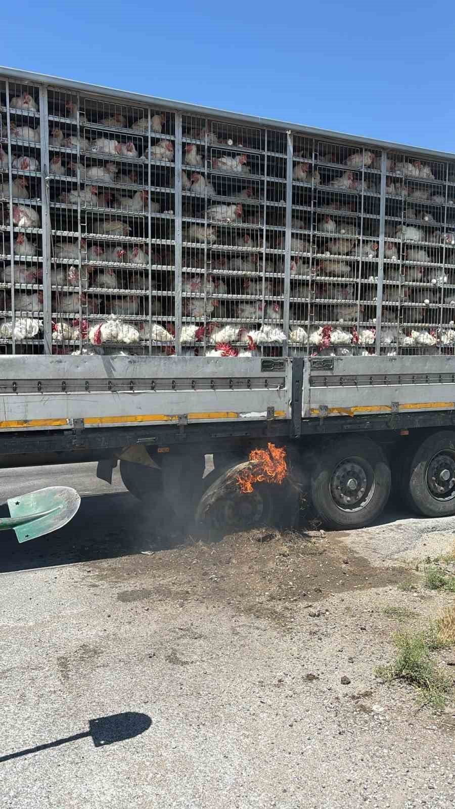 Konya'da canlı tavuk dolu tırda yangın paniği!