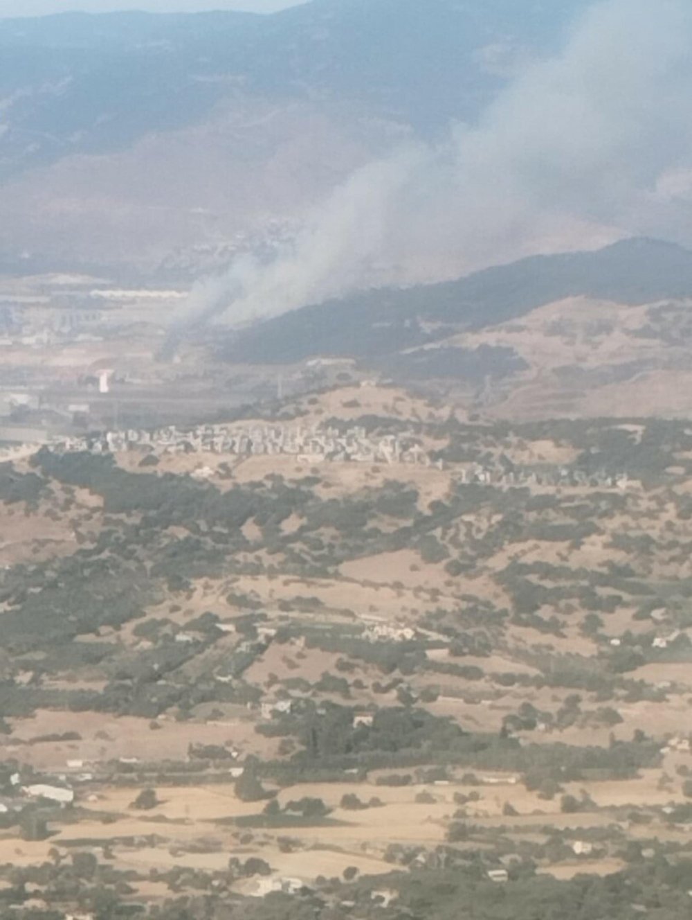 İzmir'de sanayide çıkan yangın ormana sıçradı