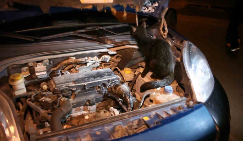 Polis aracın kaputunu açtı, motordan çıkan şaşırttı