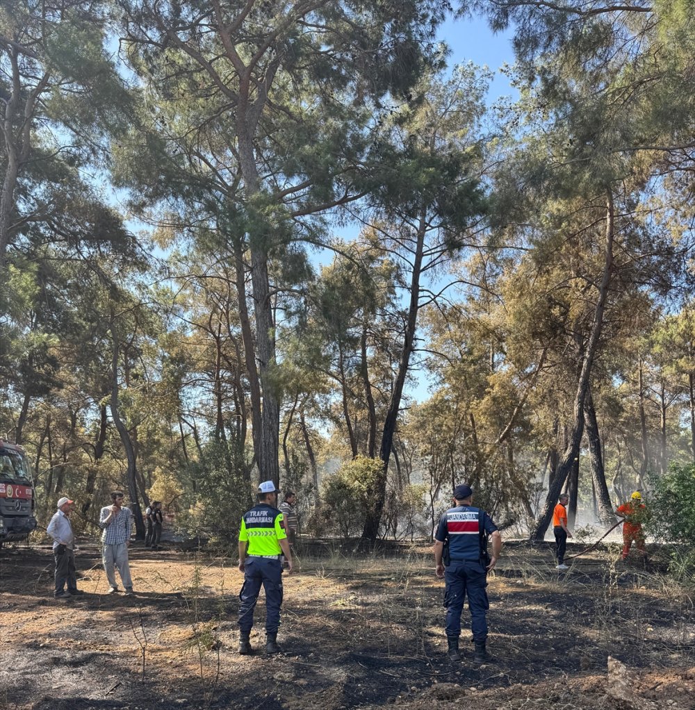 Antalya'da orman yangını