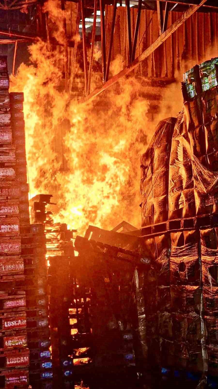 Kağıt fabrikasında yangın: 8 ölü, 26 yaralı