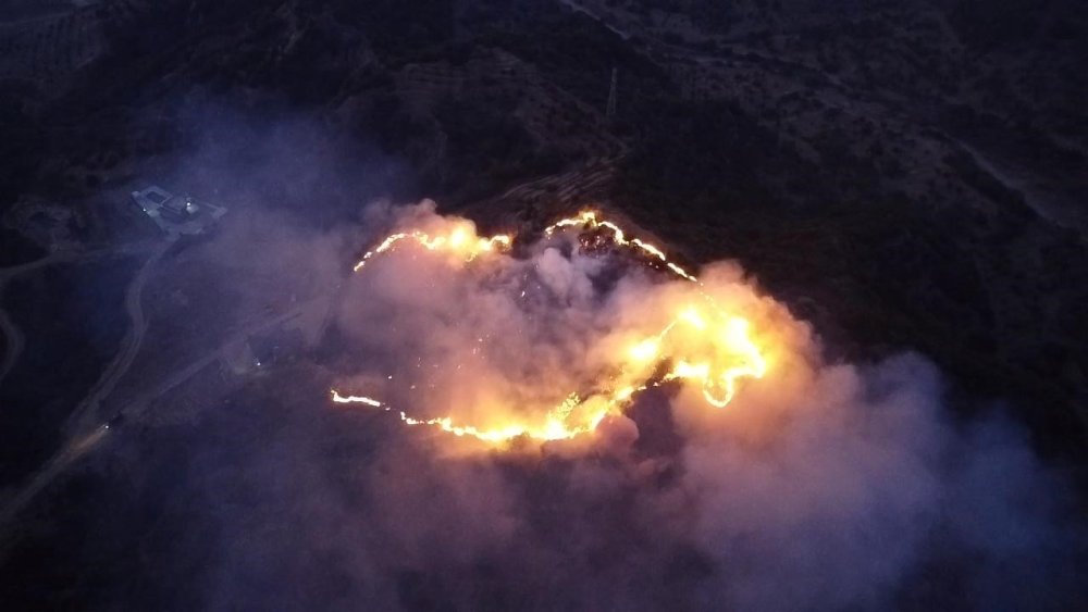 Keneyi yakmak isterken ormanı yaktı