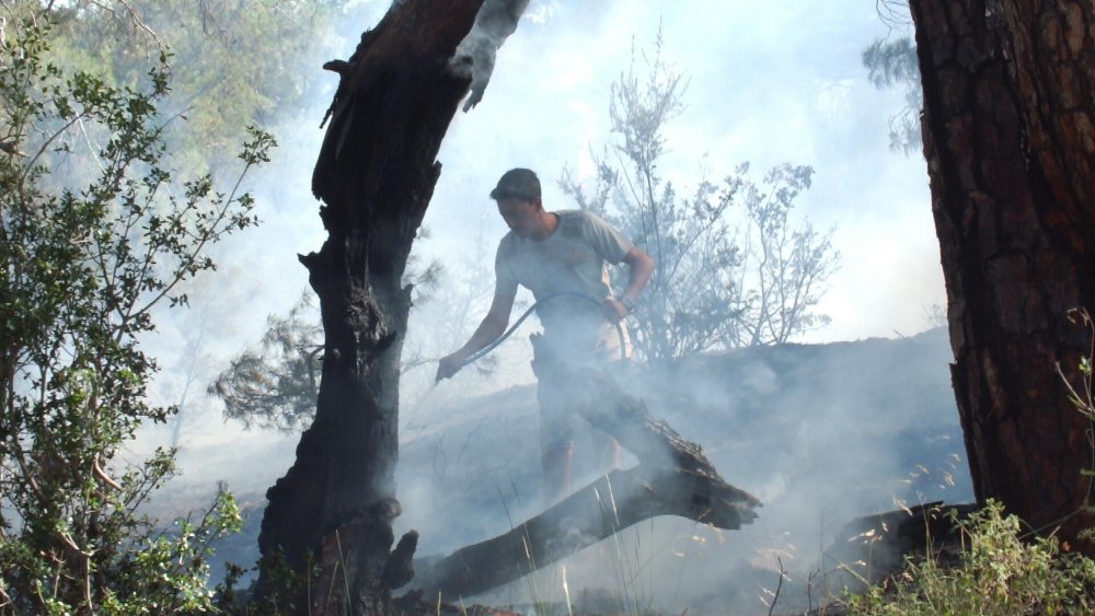 Balıkesir Burhaniye'de çıkan orman yangını 8 saatte kontrol altına alındı