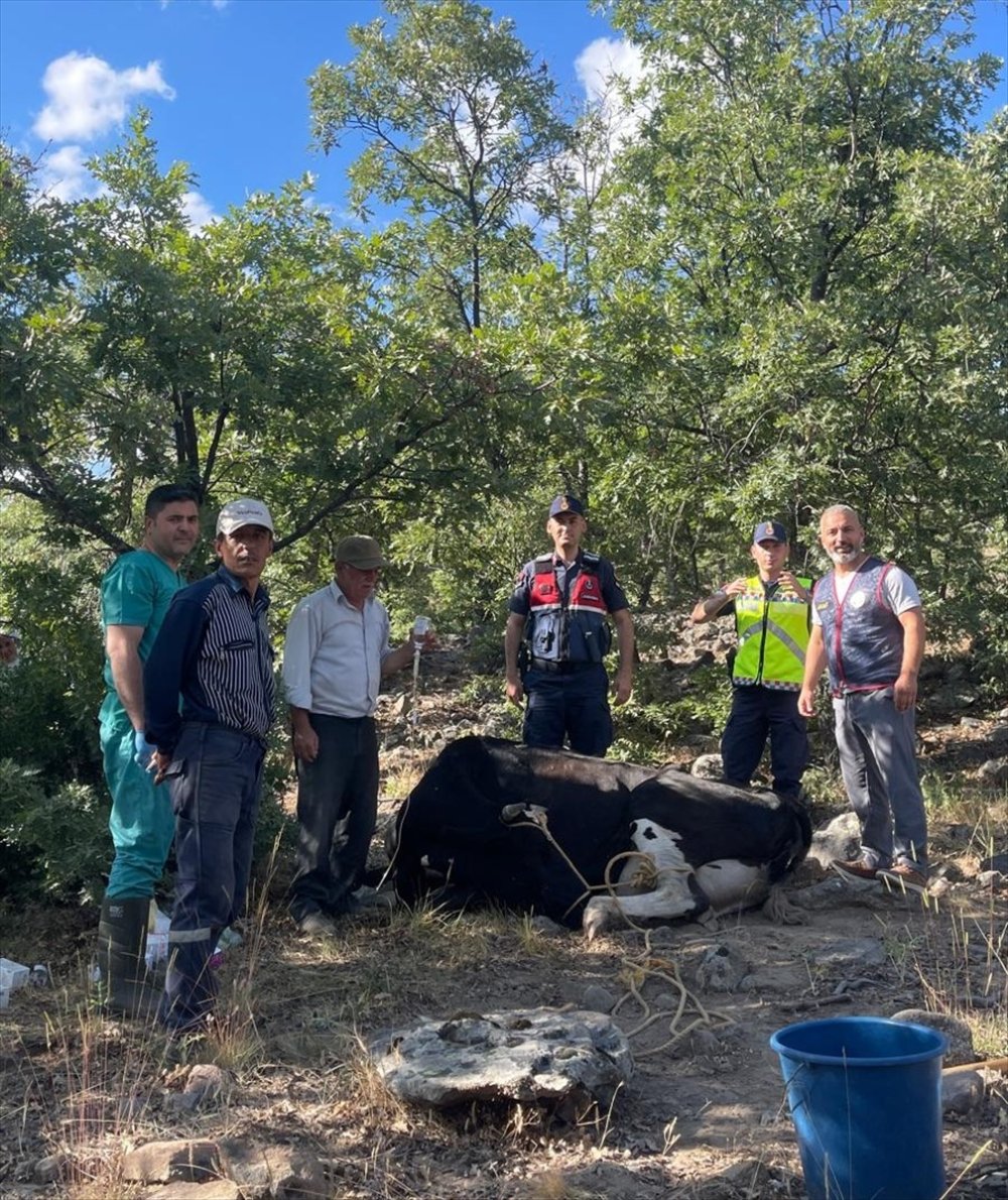 konyada-kaybolan-inek-jandarma-tarafindan-dron-destegiyle-bulundu.jpg