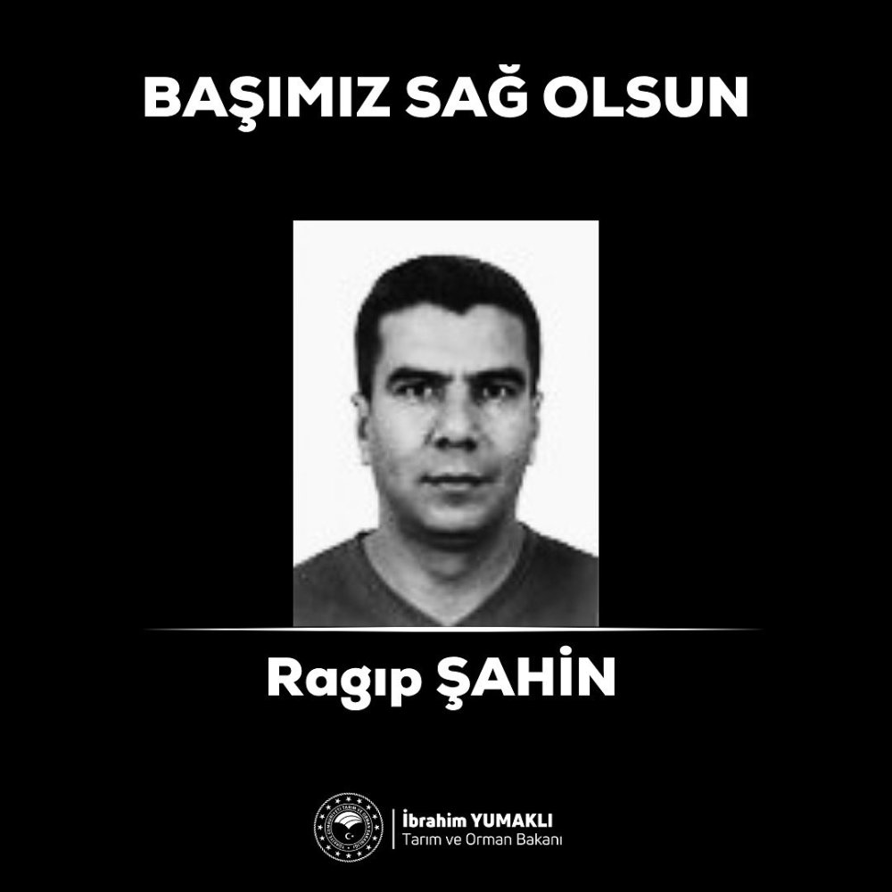 orman-iscisi-ragip-sahin.jpg