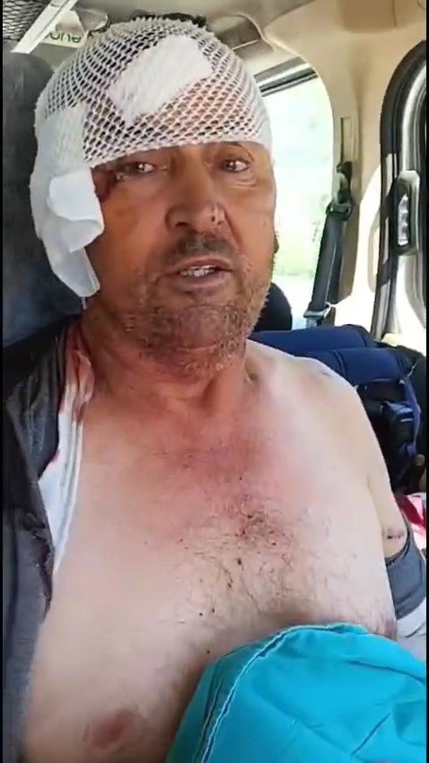 Hayvan parkından kaçan aslan öldürüldü