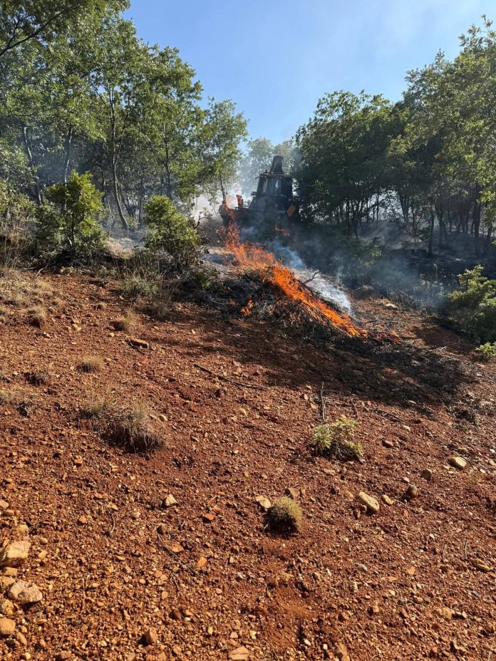 Konya'da ormanlık alanda yangın