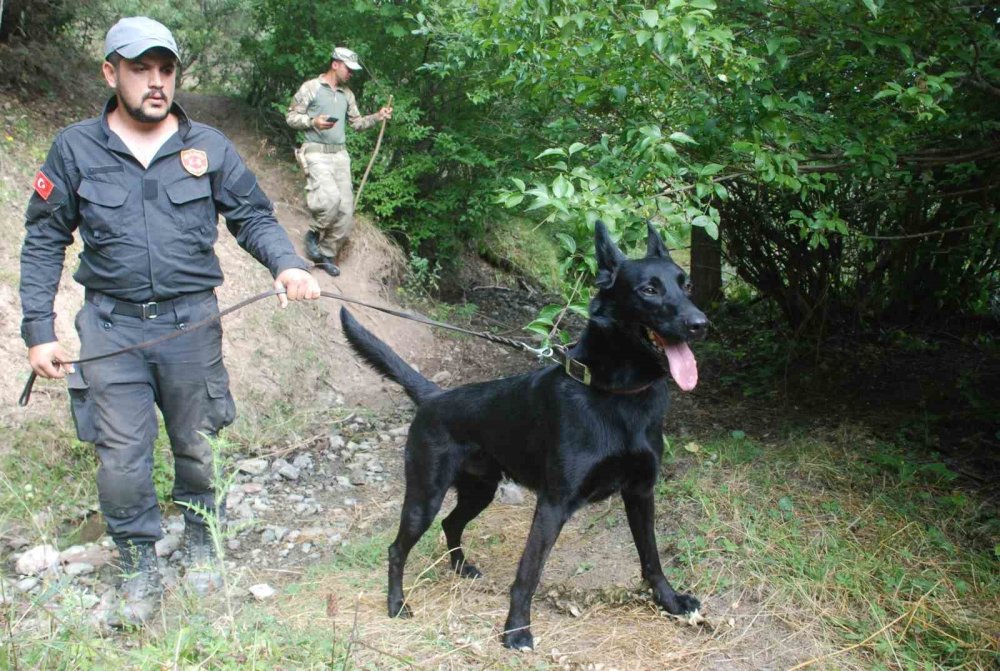 3,5 yaşındaydı... Kaybolan Evrim’den 7 yıldır haber alınamıyor