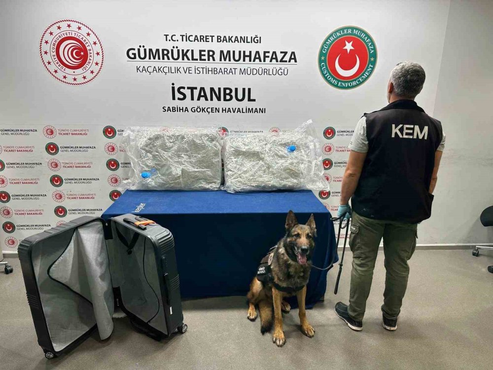 Gümrükler Muhafaza ekipleri temmuz ayına uyuşturucu yakalamalarında rekorla başladı