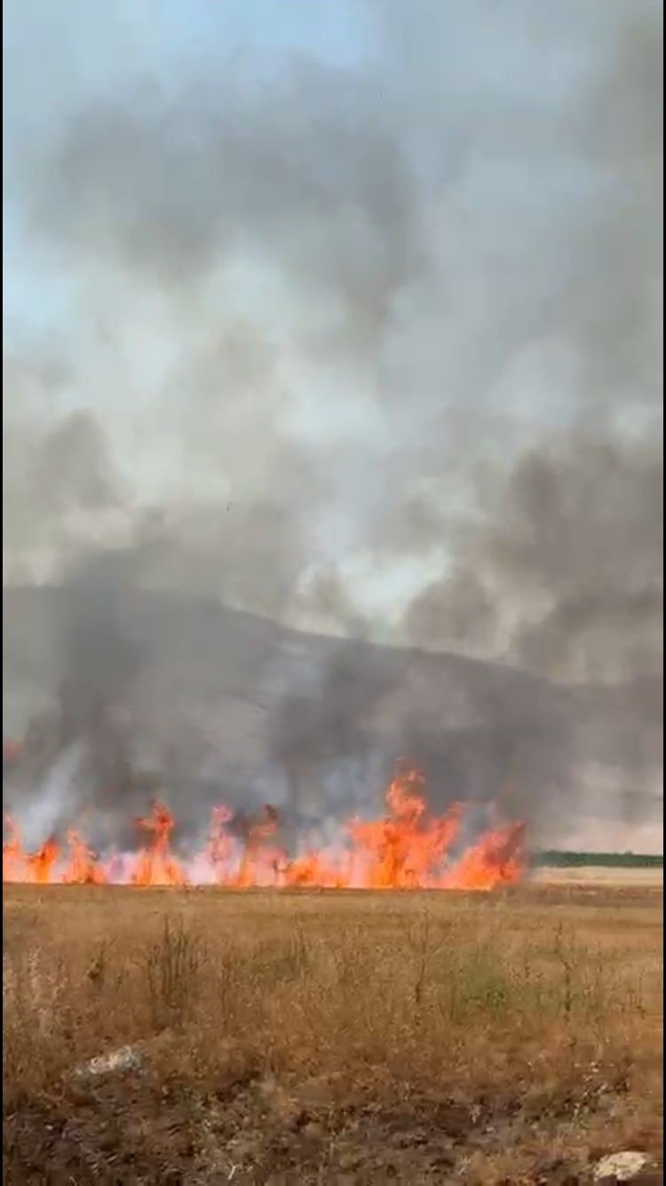 Traktörün kepçesi neden oldu... Yangında 50 dönüm arazi yandı