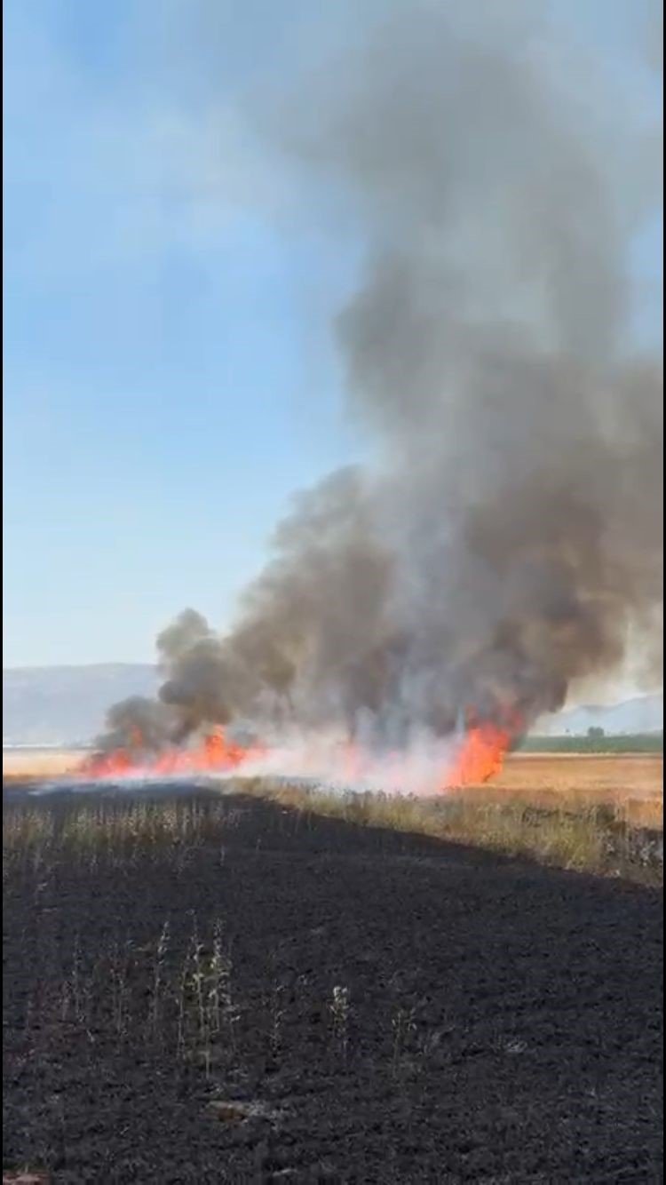 Traktörün kepçesi neden oldu... Yangında 50 dönüm arazi yandı