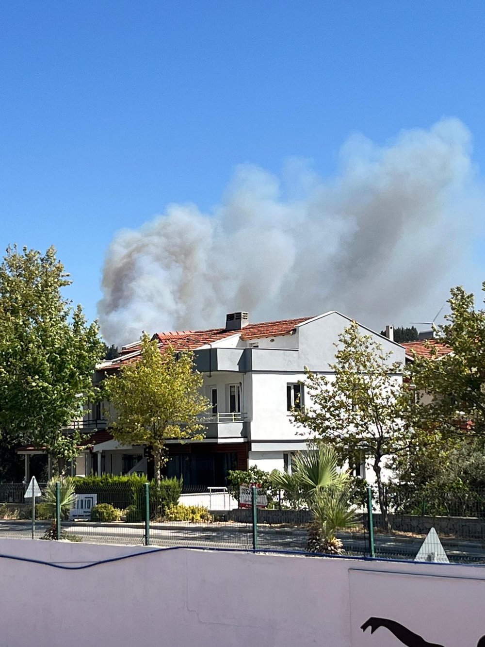 Bir orman yangını daha