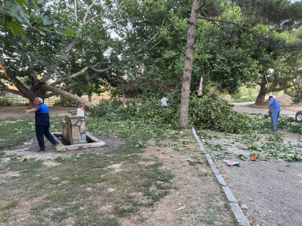 Konya'da piknik faciası: 11 yaralı