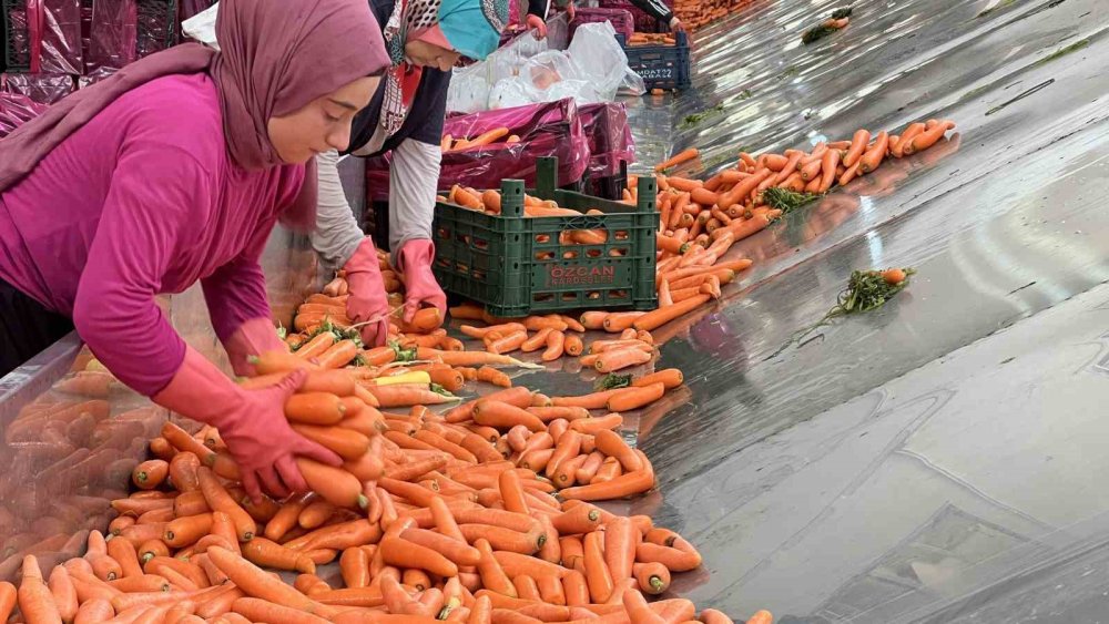 Konya'da bu işin yüzde 90'ı kadınlardan soruluyor