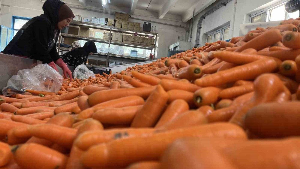 Konya'da bu işin yüzde 90'ı kadınlardan soruluyor