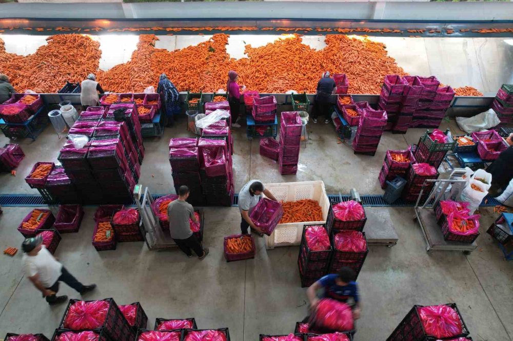 Konya'da bu işin yüzde 90'ı kadınlardan soruluyor