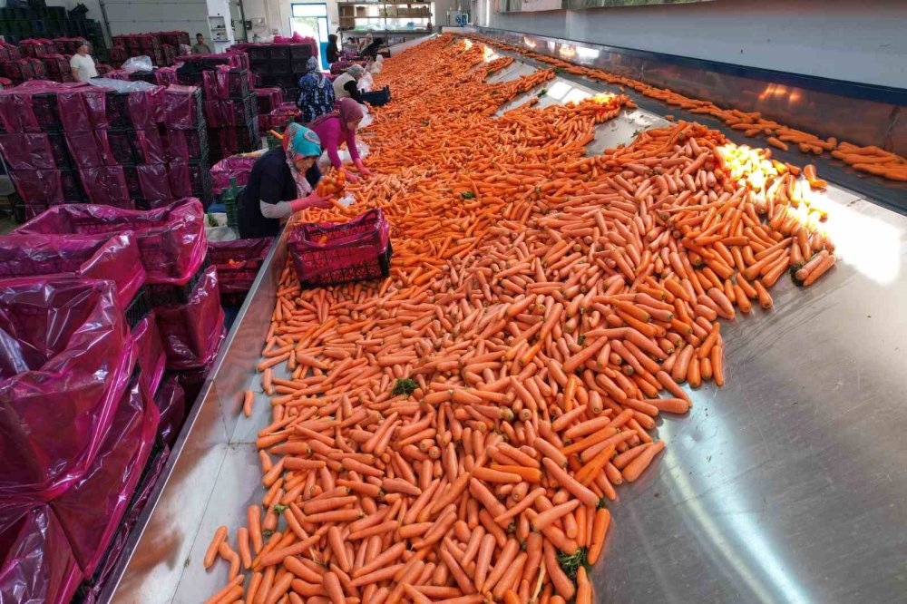 Konya'da bu işin yüzde 90'ı kadınlardan soruluyor