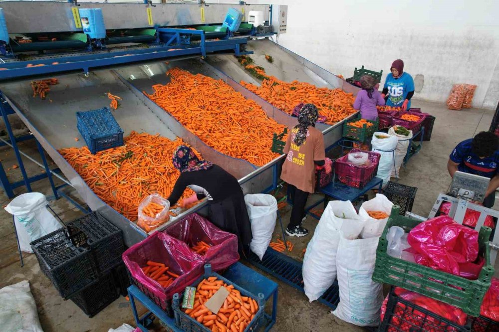 Konya'da bu işin yüzde 90'ı kadınlardan soruluyor