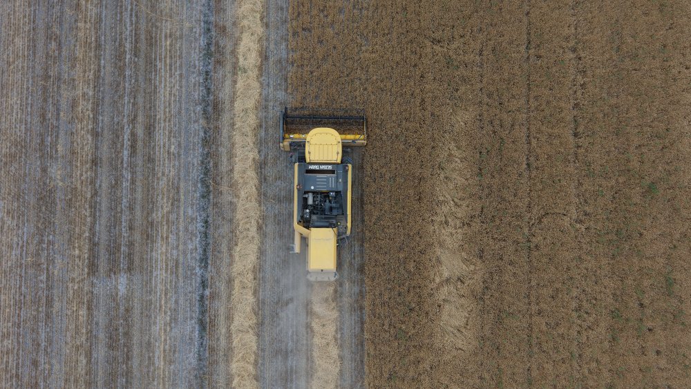 Türkiye'nin tahıl ambarı Konya Ovası’nda beklenen rekolte açıklandı