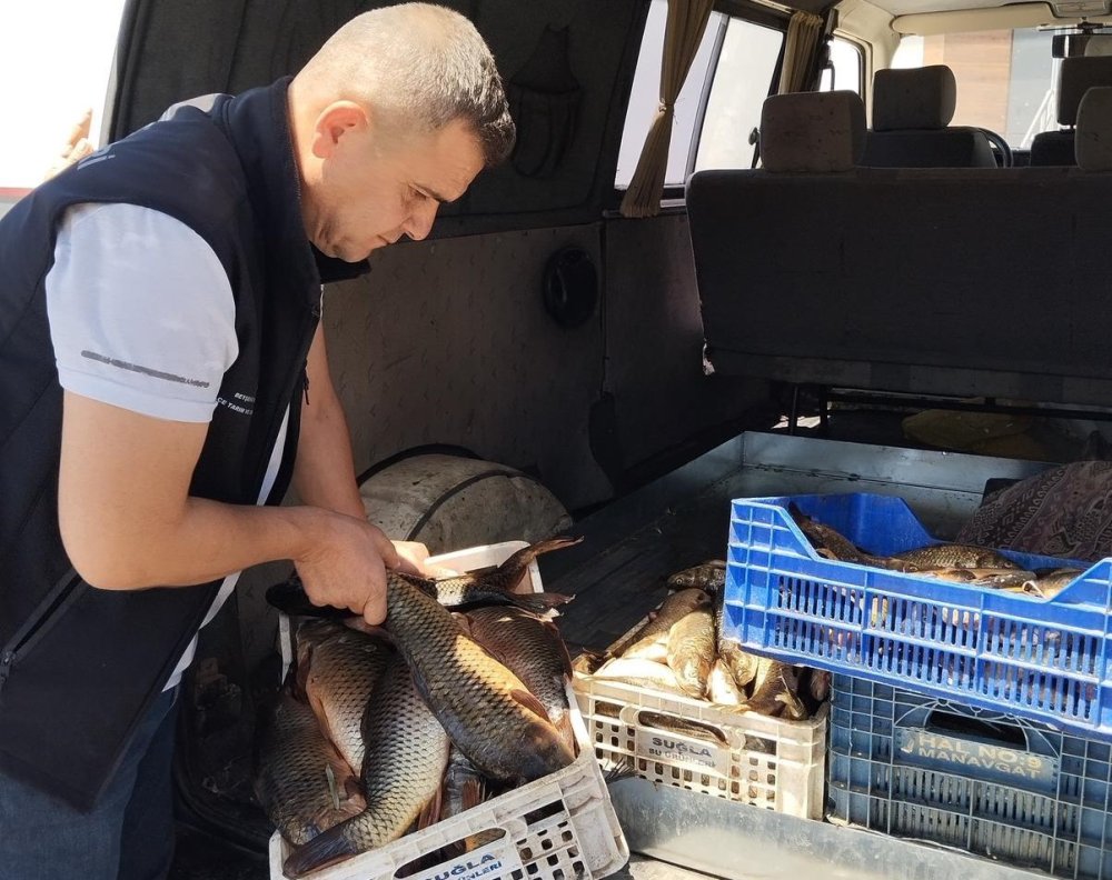 Balıkçılar denetleniyor