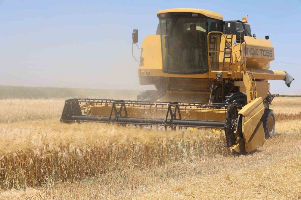Gıda fiyatları etkilenebilir... Konya Ovasında son durum