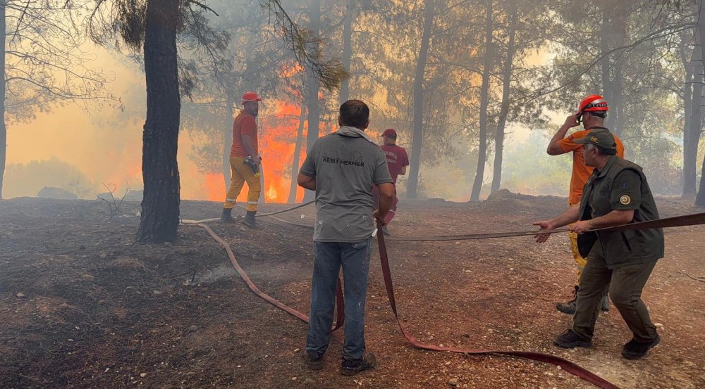Antalya'da 3 ayrı ilçede orman yangını
