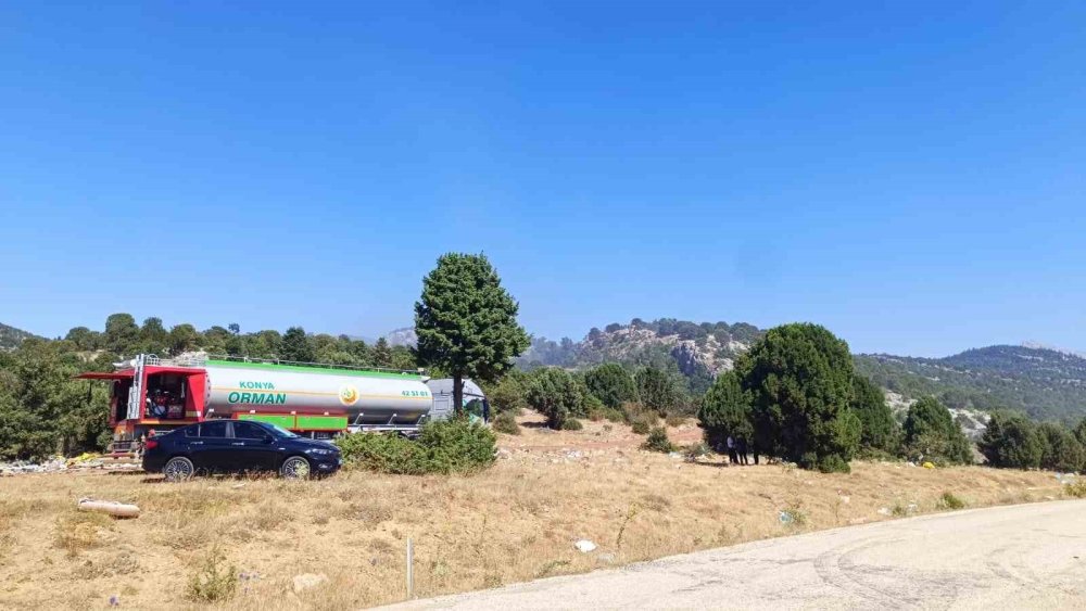 Konya'da çöplükte başlayan yangın ormana sıçradı